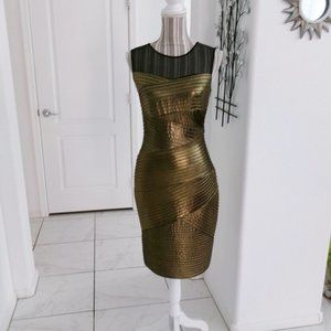 Calvin Klein Elegant Gold and Black Women's Dress
